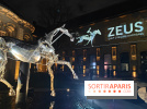 ZEUS, le cheval métallique des JO exposé gratuitement au musée des Arts et Métiers