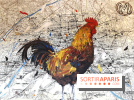 Dans ses artères coule la vie à Fluctuart - nos photos - Fluctuart 11