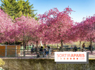 Les pommiers et cerisiers en fleurs du Jardin de Reuilly, Parc de Reuilly à Paris 12e - photos  - table pique nique 