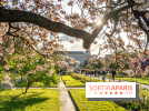Les floraisons exceptionnelles du Jardin des Plantes 2026 : tulipes, coquelicots et cerisiers - photos - A7C00582