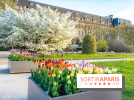 Les floraisons exceptionnelles du Jardin des Plantes 2026 : tulipes, coquelicots et cerisiers - photos