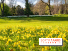 Le Parc de Bagatelle au printemps, cerisier, tulipes et jonquilles - photos