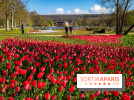 Les tulipes du Château de Dampierre, son jardin anglais et le jardin Le Nôtre