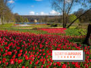 Les tulipes du Château de Dampierre, son jardin anglais et le jardin Le Nôtre