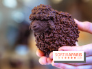 Pâques 2026, les chocolats artisanaux de Willliam Artigue à Paris - A7C09846 Edit Edit