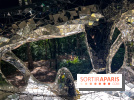 Le Cyclop, le géant d’acier caché dans les bois de Milly-la-Forêt