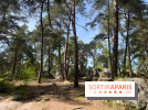 Escalade en Forêt de Fontainebleau - nos photos