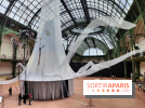 Nous, frissons d'étoile : une installation immersive contemporaine au Grand Palais