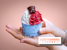 Le comptoir à glaces de Pleincœur et ses coupes glacées - photos