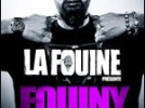 fouine