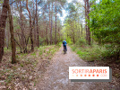 Liaisons douces à Fontainebleau : la forêt à vélo, les photos