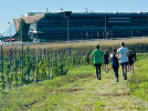 2ème édition du Viti-trail de 10 km du Domaine de Paris Gravelle Dimanche 6 septembre 2026