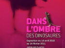 l'ombre des dinosaures