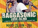 RAGGASONIC X LORD ZELJKO @ LA GAITE LYRIQUE | PARIS HIP HOP