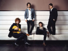 The Kooks