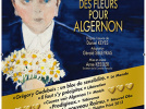 des fleurs pour algernon