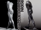 Mapplethorpe-Rodin,au Musée Rodin