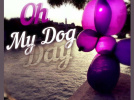 dog day, le lacher de balloon by expo in the city