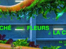 Marché aux fleurs à la Cité de la Mode