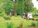 Les secrets de jardins en Essonne