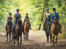 Balade à cheval dans la forêt de Saint-Germain