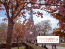 Les cerisiers du Trocadéro fleurissent avec de l'avance en ce printemps 2026