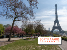 Les cerisiers du Trocadéro fleurissent avec de l'avance en ce printemps 2026