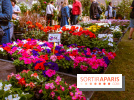 Fête des plantes de Méry