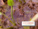 Fête de la Nature et du Printemps en Val-de-Marne avec ateliers, jeu de piste et pique-nique