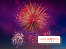 Après l'Essonne, les Yvelines, le Val d'Oise et la Seine-et-Marne interdisent les feux d'artifice