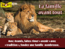 votez pour les animaux, zoo de thoiry