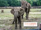 Au Zoo de Thoiry, des Lodges immersifs en Terre d'Afrique, avec vue sur les éléphants, se préparent
