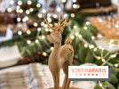 Christmas Market Party à Laumière (19e), brocante, marché de Noël et animations 