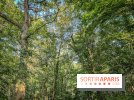 Les Nuits des Forêts 2023 en Seine-Saint-Denis (93) : Le programme