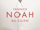 Yannick Noah en concerts au Palais des Sports de Paris en novembre 2014