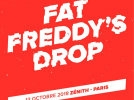 Fat Freddy’s Drop en concert au Zénith de Paris en octobre 2017