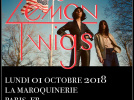 The Lemon Twigs en concert à La Maroquinerie de Paris en octobre 2018