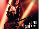 Hozier en concert à La Salle Pleyel de Paris en novembre 2018