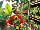Plantes Pour Tous : grande vente de plantes à la Cité Fertile à Paris les 17, 18 et 19 mai 2019