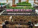 Confinement : grande vente de plantes aromatiques et potagères en ligne