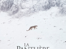 La Panthère des neiges : le docu de Marie Amiguet avec Vincent Munier et Sylvain Tesson