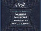 A night with… Wankelmut, Sascha Funke au Showcase