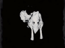 Sortie du nouvel album de Sigur Ros "Kveikur"