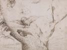  Jheronimus Bosch, Le Nid de hiboux, vers 1505-15 
