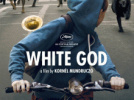 White God : critique et bande-annonce 