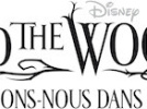 Into the woods, promenons-nous dans les bois : le jeu-concours ! 