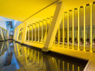 Rencontre avec Olafur Eliasson à la Fondation Vuitton