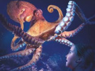Pouples Fiction, la nouvelle exposition de Sea Life