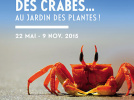 Des crabes au Jardin des Plantes, l'expo nature à ne pas manquer !