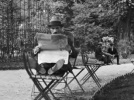 Jardins extraordinaires, l'exposition au jardin du Luxembourg
